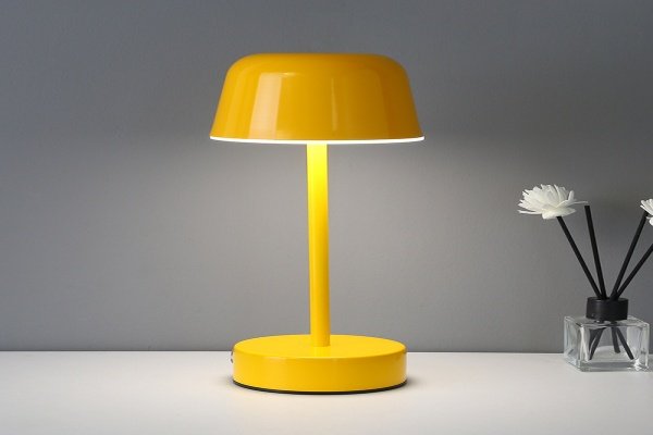 Shop owner choosing display lamps